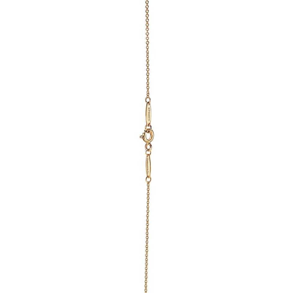 necklace-4-3@1x-pichi